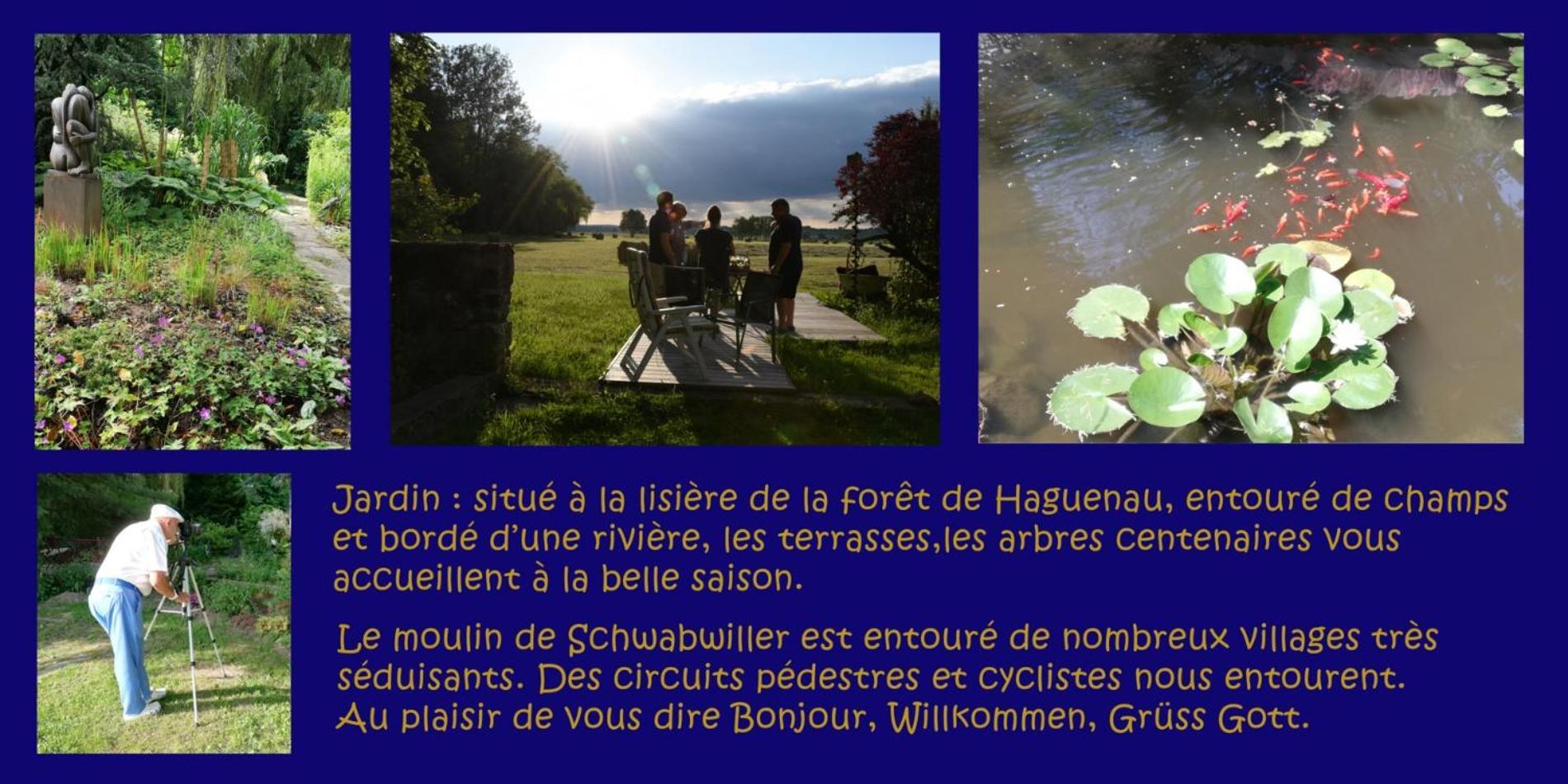 Gite L'Amarante Betschdorf 外观 照片